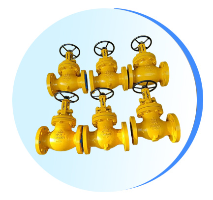 Bellow Sealed Valves